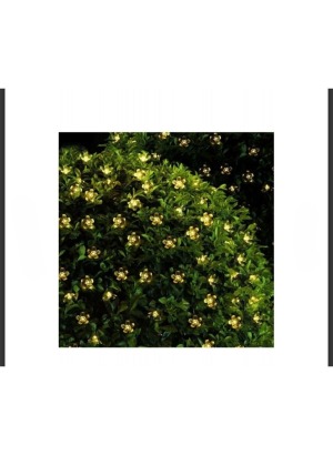 Solar Çiçekli Dekoratif 30 Led Bahçe Lambası - Tek Ebat